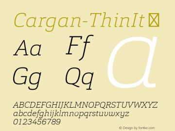 Cargan-ThinIt ☞ Version 1.000;com.myfonts.easy.hoftype.cargan.thin-italic.wfkit2.version.4hVy Font Sample