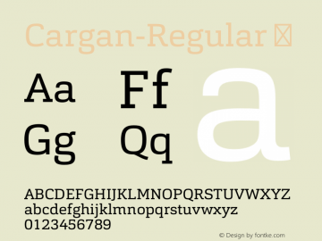 Cargan-Regular ☞ Version 1.000;com.myfonts.easy.hoftype.cargan.regular.wfkit2.version.4hVA Font Sample