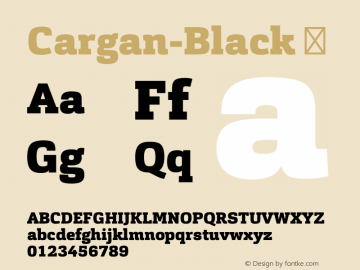 Cargan-Black ☞ Version 1.000;com.myfonts.easy.hoftype.cargan.black.wfkit2.version.4hVo图片样张