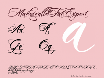 MadrigalleFatExpert ☞ Version 1.069;com.myfonts.easy.scholtz.madrigalle.fat-expert.wfkit2.version.3CYS Font Sample