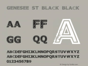 Genesee St Black Black Version 1.00 2015图片样张