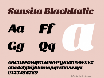 Sansita BlackItalic Version 1.005;PS 001.005;hotconv 1.0.70;makeotf.lib2.5.58329 Font Sample
