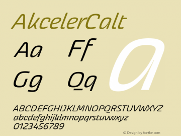 AkcelerCalt ☞ 001.000;com.myfonts.easy.adtypo.akceler.calt.wfkit2.version.42w6 Font Sample