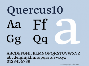 Quercus10 ☞ Version 001.000;com.myfonts.easy.storm.quercus-ten.regular.wfkit2.version.4mvi图片样张