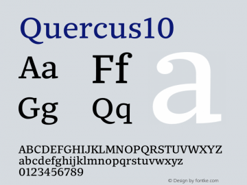 Quercus10 ☞ Version 001.000;com.myfonts.easy.storm.quercus-ten.regular.wfkit2.version.4mvi图片样张