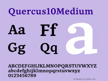 Quercus10Medium ☞ Version 1.000;com.myfonts.easy.storm.quercus-ten.medium.wfkit2.version.4mve Font Sample