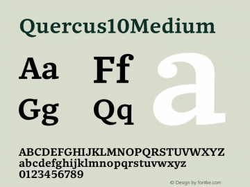 Quercus10Medium ☞ Version 1.000;com.myfonts.easy.storm.quercus-ten.medium.wfkit2.version.4mve Font Sample