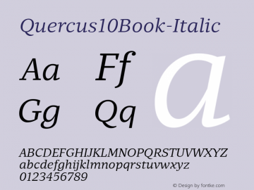 Quercus10Book-Italic ☞ Version 001.000;com.myfonts.easy.storm.quercus-ten.book-italic.wfkit2.version.4mvc图片样张