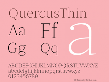 QuercusThin ☞ Version 1.000;com.myfonts.easy.storm.quercus-serif.thin.wfkit2.version.4mvD图片样张