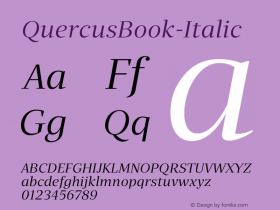 QuercusBook-Italic ☞ Version 1.000;com.myfonts.easy.storm.quercus-serif.book-italic.wfkit2.version.4mwj Font Sample