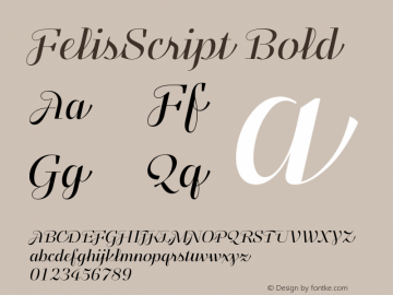 FelisScript Bold Version 1.000;com.myfonts.easy.typomancer.felis-script.light.wfkit2.version.4mf3 Font Sample