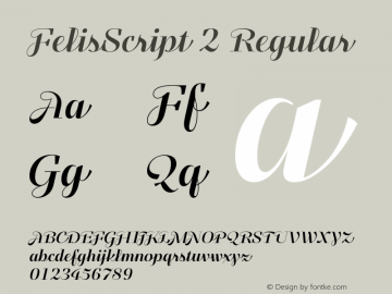 FelisScript 2 Regular Version 1.000;com.myfonts.easy.typomancer.felis-script.regular.wfkit2.version.4mf6 Font Sample
