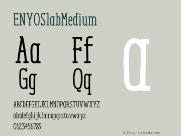 ENYOSlabMedium ☞ Version 2.000;com.myfonts.easy.antipixel.enyo.medium.wfkit2.version.4dtG图片样张