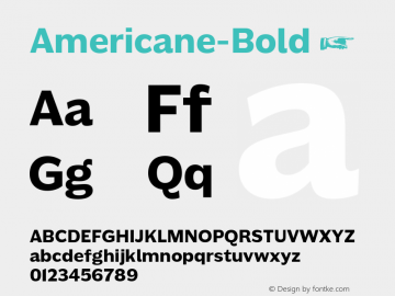 Americane-Bold ☞ Version 1.000;com.myfonts.easy.hvdfonts.americane.bold.wfkit2.version.4mLc图片样张