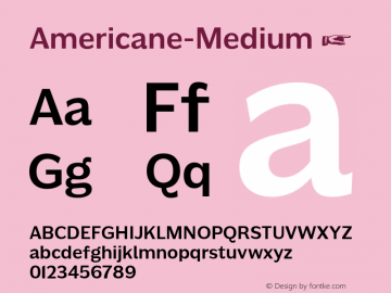 Americane-Medium ☞ Version 1.000;com.myfonts.easy.hvdfonts.americane.medium.wfkit2.version.4mL5图片样张
