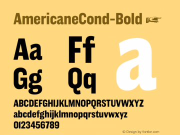 AmericaneCond-Bold ☞ Version 1.000;com.myfonts.easy.hvdfonts.americane-condensed.bold.wfkit2.version.4mLr图片样张