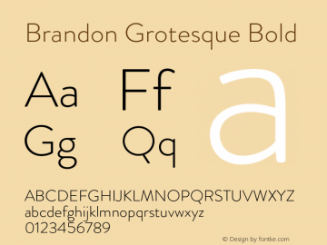 Brandon Grotesque Bold Version 001.000;com.myfonts.easy.hvdfonts.brandon-grotesque.light.wfkit2.version.44Sa Font Sample