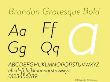Brandon Grotesque Bold Version 001.000;com.myfonts.easy.hvdfonts.brandon-grotesque.light-italic.wfkit2.version.44S9 Font Sample
