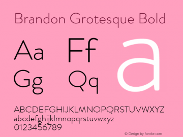 Brandon Grotesque Bold Version 001.000;com.myfonts.easy.hvdfonts.brandon-grotesque.light.wfkit2.version.44Sa Font Sample