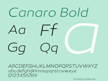 Canaro Bold Version 1.000;PS 001.000;hotconv 1.0.70;makeotf.lib2.5.58329;com.myfonts.easy.rene-bieder.canaro.extra-light-italic.wfkit2.version.45rF图片样张