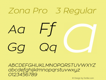 Zona Pro   3 Regular Version 1.005;com.myfonts.easy.intelligent-foundry.zona-pro.light-italic.wfkit2.version.4b3q Font Sample