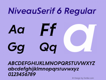 NiveauSerif 6 Regular Version 1.000;com.myfonts.easy.hvdfonts.niveau-serif.medium-italic.wfkit2.version.42tv图片样张