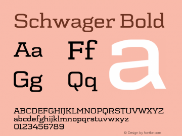 Schwager Bold Version 001.001;com.myfonts.easy.latinotype.schwager.medium.wfkit2.version.3U9p图片样张