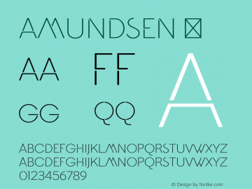 Amundsen ☞ Version 1.000 2013 initial release;com.myfonts.easy.juraj-chrastina.amundsen.regular.wfkit2.version.42D5图片样张