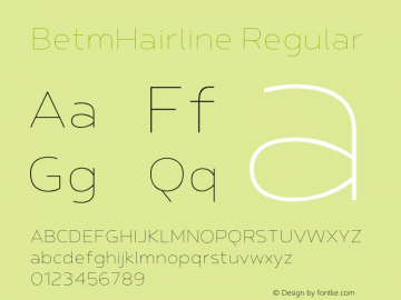 BetmHairline Regular Version 1.000;com.myfonts.easy.typesketchbook.betm.hairline.wfkit2.version.4ngM图片样张