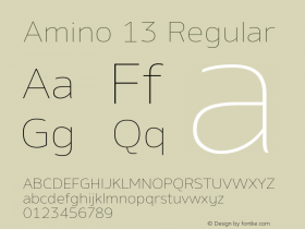 Amino 13 Regular Version 2.01 : 2013;com.myfonts.easy.cadson-demak.amino.thin.wfkit2.version.41K5 Font Sample