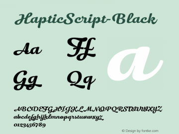 HapticScript-Black ☞ Version 1.000;PS 001.000;hotconv 1.0.70;makeotf.lib2.5.58329;com.myfonts.easy.henning-skibbe.haptic-script.black.wfkit2.version.4nca Font Sample