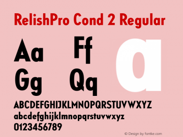 RelishPro Cond 2 Regular Version 1.000;com.myfonts.easy.redrooster.relish-pro.cond-bold.wfkit2.version.3Atf图片样张
