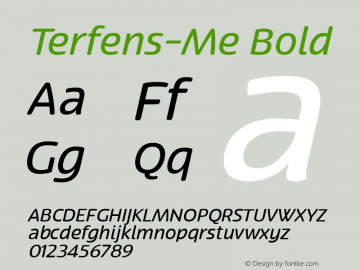 Terfens-Me Bold Version 1.000;com.myfonts.easy.insigne.terfens.medium-italic.wfkit2.version.3Ury Font Sample