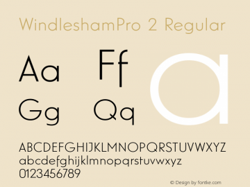 WindleshamPro 2 Regular Version 1.000;com.myfonts.easy.redrooster.windlesham-pro.light.wfkit2.version.3Atp图片样张