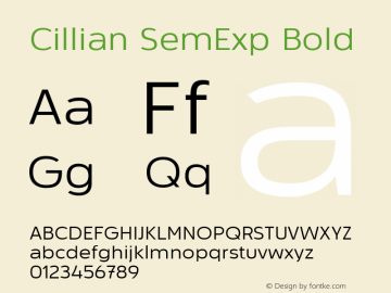Cillian SemExp Bold 001.000;com.myfonts.easy.radomir-tinkov.cillian.semi-exp-regular.wfkit2.version.3vZf Font Sample