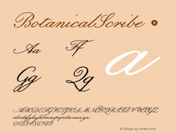 BotanicalScribe ☞ Version 1.002;com.myfonts.easy.3ip.botanical-scribe.regular.wfkit2.version.45ZP图片样张