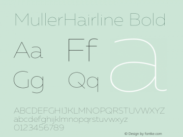 MullerHairline Bold Version 1.0;com.myfonts.easy.font-fabric.muller.hairline.wfkit2.version.4nuc图片样张