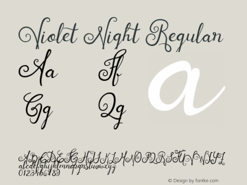 Violet Night Regular Version 1.000;PS 001.000;hotconv 1.0.70;makeotf.lib2.5.58329 Font Sample