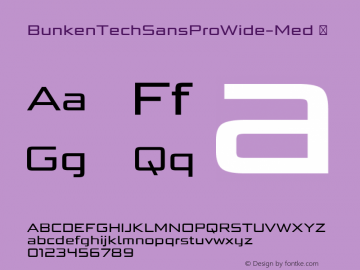 BunkenTechSansProWide-Med ☞ Version 1.33;com.myfonts.easy.buntype.bunken-tech-sans-wide.pro-medium.wfkit2.version.4nKt图片样张