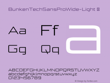 BunkenTechSansProWide-Light ☞ Version 1.33;com.myfonts.easy.buntype.bunken-tech-sans-wide.pro-light.wfkit2.version.4nKq Font Sample