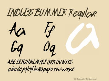ENDLESS BUMMER Regular Version 1.000;PS 001.000;hotconv 1.0.70;makeotf.lib2.5.58329 Font Sample