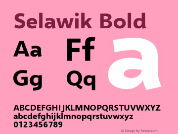 Selawik Bold Version 1.00图片样张