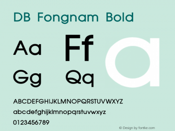 DB Fongnam Bold Version 1.1; 2001 Font Sample