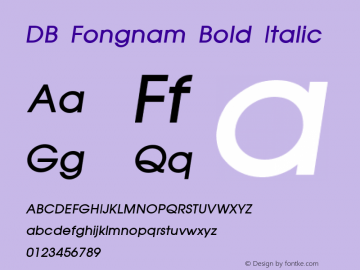 DB Fongnam Bold Italic Version 1.1; 2001图片样张