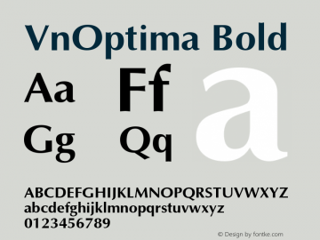 VnOptima Bold LH COMPUTER 3/5/97图片样张