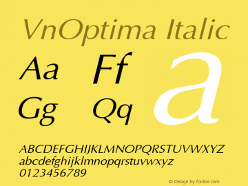 VnOptima Italic LH COMPUTER 3/5/97图片样张
