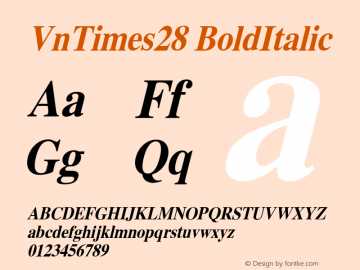 VnTimes28 BoldItalic LH COMPUTER 3/2/97 Font Sample