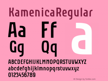 KamenicaRegular ☞ 1.000;com.myfonts.easy.tdf.kamenica.regular.wfkit2.version.3ZDH Font Sample