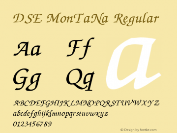 DSE MonTaNa Regular Version 2.1 - January 1998图片样张