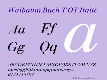 Walbaum Buch T OT Italic OTF 1.001;PS 1.05;Core 1.0.27;makeotf.lib(1.11) Font Sample